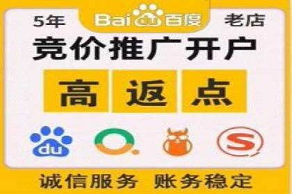 百度推广策略：案例分析如何实现转化